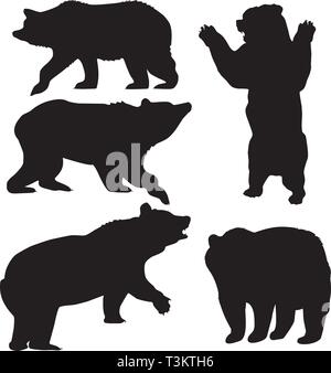 vector illustration of set of grizzly and brown bears. Stock Vector