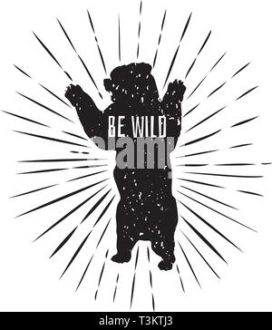 vector illustration of a grizzly bear standing. Stock Vector