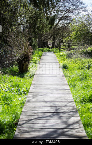 Wooden pathway leading through a countryside park on a sunny day in England, UK Weather. Stock Photo