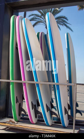 Polyurethane surfboards  (longboards) in vertical position Stock Photo