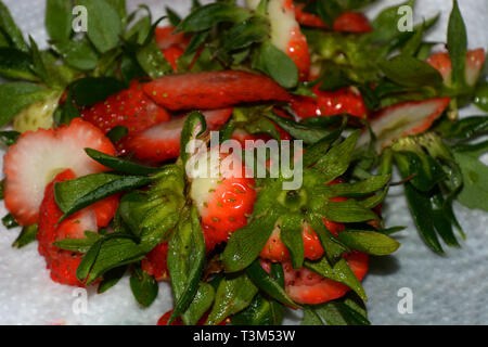 close-up view of waste of strawberries with bad spots, kitchen waste of cut strawberries on a white kitchen paper Stock Photo