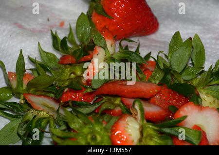 kitchen waste of cut strawberries on a white kitchen paper, waste of strawberries with bad spots Stock Photo
