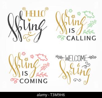 Hello Spring Calligraphy lettering handwritten sign, Hand drawn grunge ...