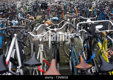 Hundreds of bikes outside Central Station in Amsterdam Stock Photo