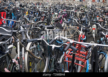 Hundreds of bikes outside Central Station in Amsterdam Stock Photo