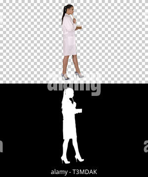 Successful medical doctors making notes while walking, Alpha Channel Stock Photo