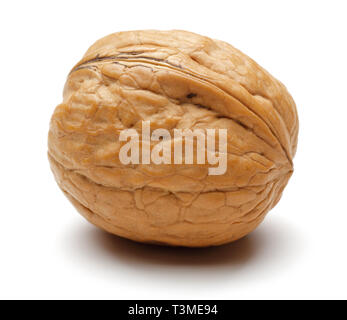 Single whole walnut isolated on white background Stock Photo