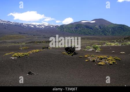 Wide field of volcanic lava ash on peak of black Volcano Llaima with spots and stripes of snow and ice contrasting with blue sky - Conguillio NP Stock Photo
