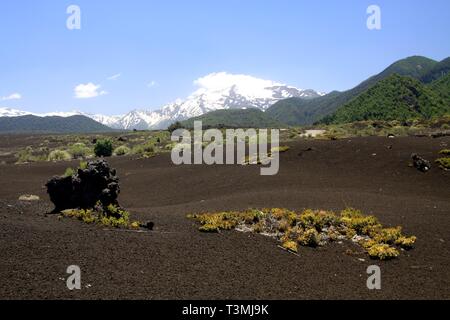 Wide field of volcanic lava ash on peak of black Volcano Llaima with spots and stripes of snow and ice contrasting with blue sky - Conguillio NP Stock Photo