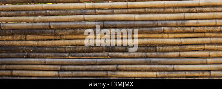 Old weathered bamboo texture, background, closeup view with details, banner Stock Photo
