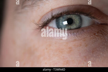Blue green caucasian man eye close-up view Stock Photo