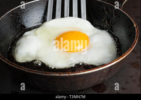 Fried egg in frying pan Stock Photo