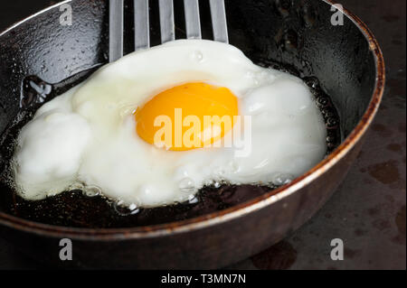 Fried egg in frying pan Stock Photo