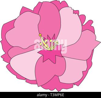 sakura,  Cherry blossom Stock Vector