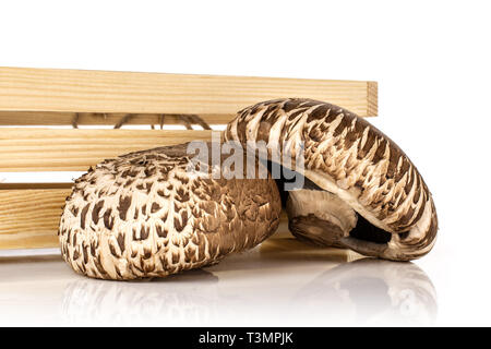 Group of two whole fresh brown mushroom portobello with wooden crate isolated on white background Stock Photo