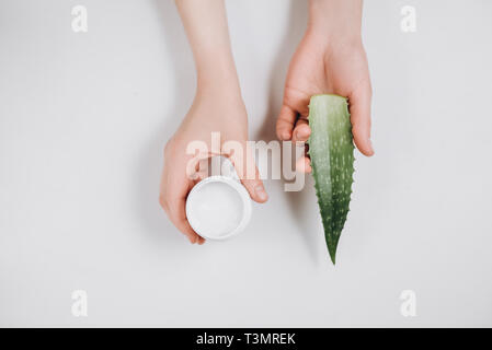 Close up images of female hands and cosmetic cream and Aloe vera fresh leaves on a white background. Organic cream for soft skin. Flat lay, top view,  Stock Photo