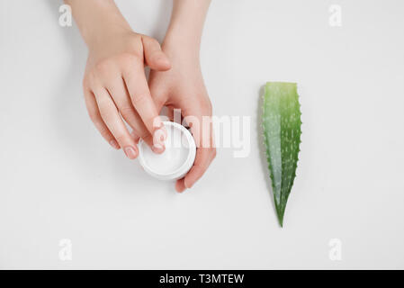 Closeup of beautiful female hands applying cream. Organic cream from Aloe vera fresh leaves on white background. Flat lay, top view, copy space. Healt Stock Photo