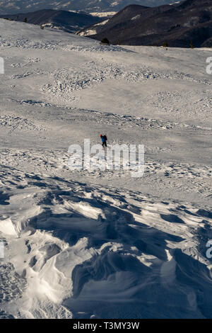 Male backcountry skier ascends on the slopes of Tarcu Summit, Romania Stock Photo