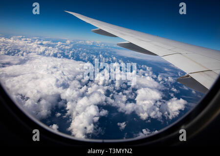 View from beautiful large tinted window of Qantas Boeing 787 dreamliner flying above the clouds approaching Sydney on direct flight from LAX Stock Photo