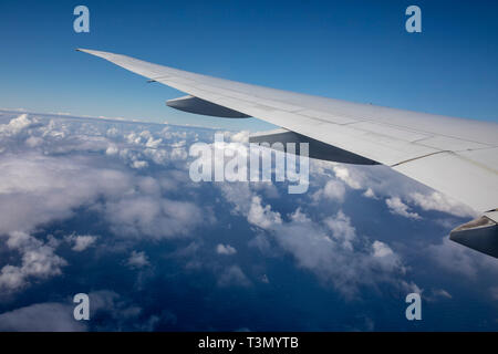 View from beautiful large tinted window of Qantas Boeing 787 dreamliner flying above the clouds approaching Sydney on direct flight from LAX Stock Photo
