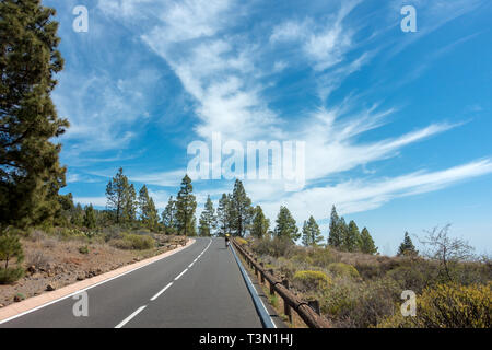 Cyclist riding a road bike up on the TF-21 up Mount Teide in beautiful weather, Tenerife Stock Photo