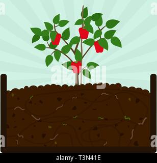 Planting bell pepper. Composting process with organic matter, microorganisms and earthworms. Fallen leaves on the ground. Stock Vector