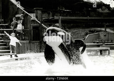 Actor Jason James Richter in the movie Free Willy, 1993 Stock Photo