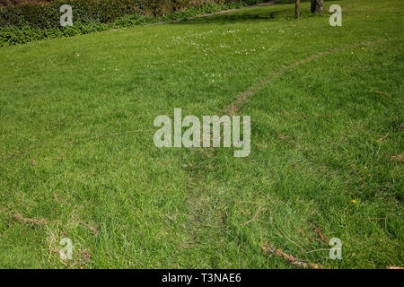 April 2019 - Car tyre tracks in a grass park Stock Photo