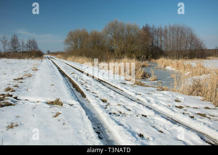 Melting snow on a dirt road through a wild meadow, copse and a cloudy blue sky Stock Photo