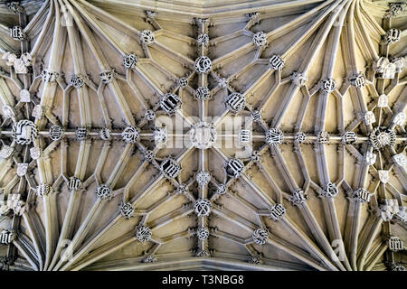 Ceiling of the Divinity School in Oxford, UK Stock Photo
