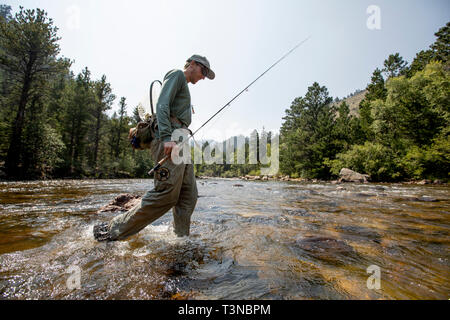 Fly fisherman fishing in Rocky Mountain National Park Stock Photo - Alamy