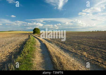 Rural road through plowed fields Stock Photo