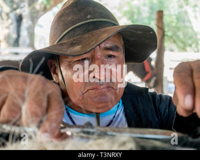 February 9, 2019 - Finca El ParaÃ-So/Yopal, Casanare, Colombia - Miguel seen hairdressing his horse.Colombian cowboys taking care of the cows in the region of Casanare, eastern Colombia, between the Ands, the Orinoco River and the border with Venezuela. These are Plains and pastures with wide rivers and marshes, a region of big biodiversity. But nowadays, it is in danger because of climate change. Credit: Jana Cavojska/SOPA Images/ZUMA Wire/Alamy Live News Stock Photo