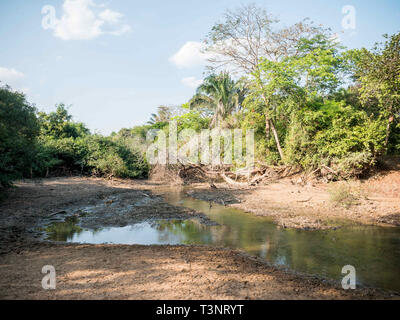 February 8, 2019 - Finca El ParaÃ-So/Yopal, Casanare, Colombia - A River seen flowing next to the El ParaÃ-so farm.Colombian cowboys taking care of the cows in the region of Casanare, eastern Colombia, between the Ands, the Orinoco River and the border with Venezuela. These are Plains and pastures with wide rivers and marshes, a region of big biodiversity. But nowadays, it is in danger because of climate change. Credit: Jana Cavojska/SOPA Images/ZUMA Wire/Alamy Live News Stock Photo