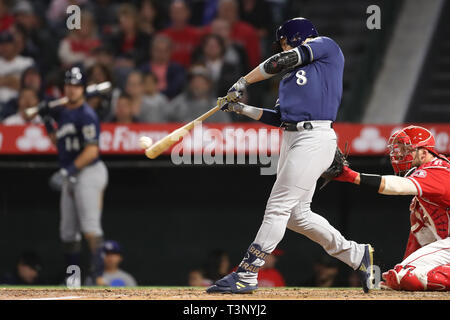 Anaheim, California, USA. 10th Apr 2019. Milwaukee Brewers left fielder Ryan Braun (8) makes contact at the plate during the game between the Milwaukee Brewers and the Los Angeles Angels of Anaheim at Angel Stadium in Anaheim, CA, (Photo by Peter Joneleit, Cal Sport Media) Credit: Cal Sport Media/Alamy Live News Stock Photo