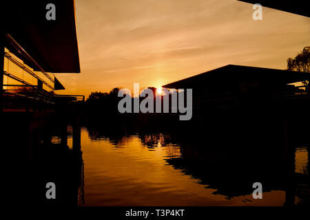 Shanghai, China. 11th Apr, 2019. Imressions, formula 1 GP, China in Shanghai, 11.04.2019 Credit: mspb/Jerry Andre *** Local Caption *** RUBIO | usage worldwide/dpa/Alamy Live News Stock Photo