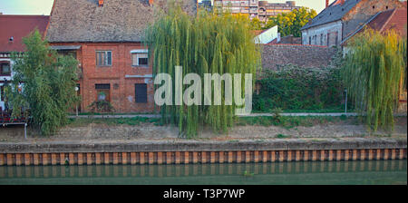 Willow trees in front of houses on a river bank Stock Photo