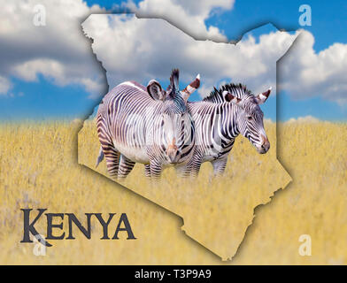 Flag Map of Kenya on which is a picture of a zebras. It's a wild animal living in Africa. It is national african background with golden grass and blue Stock Photo