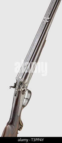 LONG ARMS, MODERN HUNTING WEAPONS, hunting rifle, Editorial-Use-Only Stock Photo