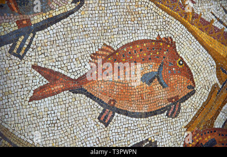 https://l450v.alamy.com/450v/t3pwpn/fish-from-the-3rd-century-roman-mosaic-villa-floor-from-lod-near-tel-aviv-israel-the-roman-floor-mosaic-of-lod-is-the-largest-and-best-preserved-mo-t3pwpn.jpg