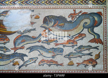 Fish and marine life from the 3rd century Roman mosaic villa floor from Lod, near Tel Aviv, Israel. The Roman floor mosaic of Lod is the largest and b Stock Photo