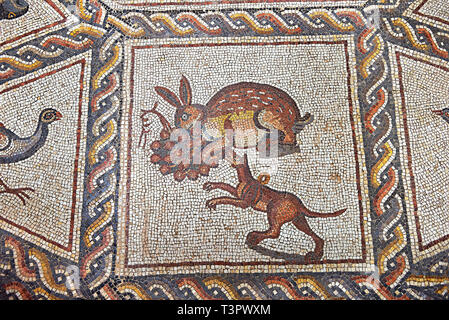 https://l450v.alamy.com/450v/t3pwxm/hunting-scene-with-a-hare-and-dog-from-the-3rd-century-roman-mosaic-villa-floor-from-lod-near-tel-aviv-israel-the-roman-floor-mosaic-of-lod-is-the-t3pwxm.jpg