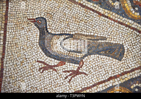 https://l450v.alamy.com/450v/t3pwyn/bird-from-the-3rd-century-roman-mosaic-villa-floor-from-lod-near-tel-aviv-israel-the-roman-floor-mosaic-of-lod-is-the-largest-and-best-preserved-mo-t3pwyn.jpg