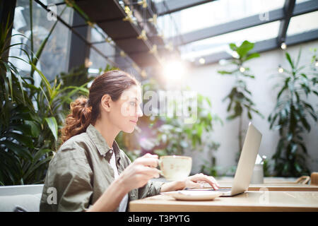 Concentrated freelancer working on online project Stock Photo