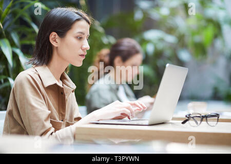 Thoughtful lady working with laptop Stock Photo