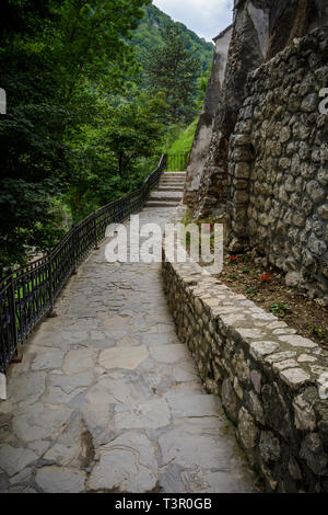 curved pathway, iron fences and stone wall in the middle of a forest Stock Photo