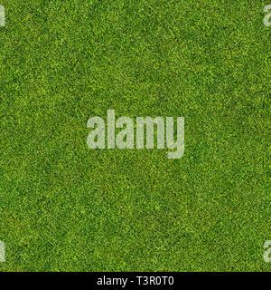 seamless grass texture Stock Photo