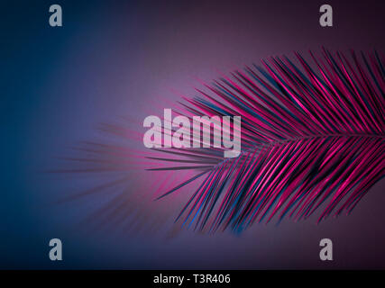 Hanging palm leaves at purple neon colors radial gradient background. Creative tropical layout Stock Photo