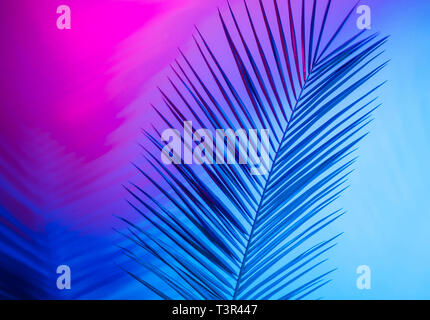 Bright tropical leaves of paradise, palm leaves in neon light Stock Photo