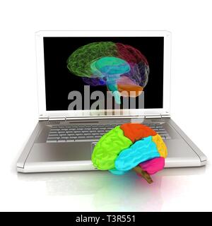 creative three-dimensional model of real human brain and scan on a ...